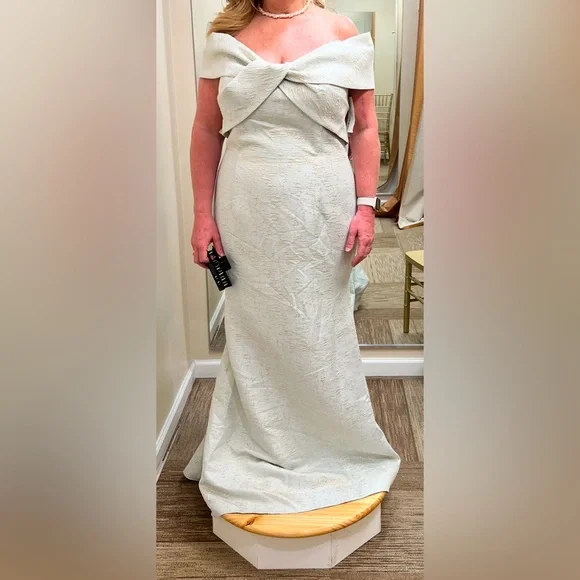 ALYCE PARIS 27613 in Silverlake/Gold Size 18 UNALTERED! NWT - Picture 6 of 13